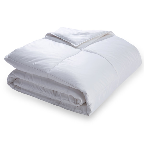 White Noise All Season Cotton Down Alternative Comforter & Reviews